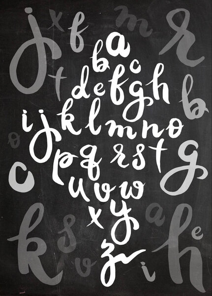 Vector handwritten brush script. letters isolated on background.