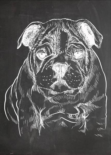 Elle çizilmiş şirin köpek, köpek kroki pe tarafından vektör çizim — Stok Vektör