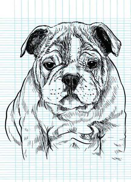Vektorové ilustrace ručně kreslenou roztomilý pes, skica psa do pe — Stockový vektor