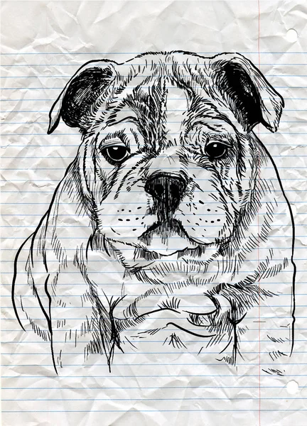 Ilustración vectorial de un lindo perro dibujado a mano, Sketch of Dog by pe — Archivo Imágenes Vectoriales