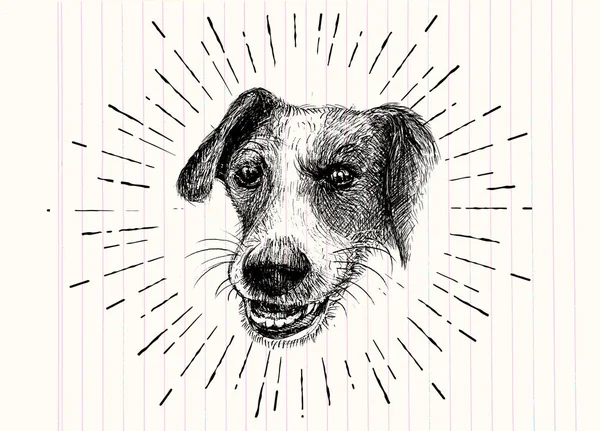 Ilustración vectorial de un perro honesto dibujado a mano, Sketch of Dog by — Archivo Imágenes Vectoriales