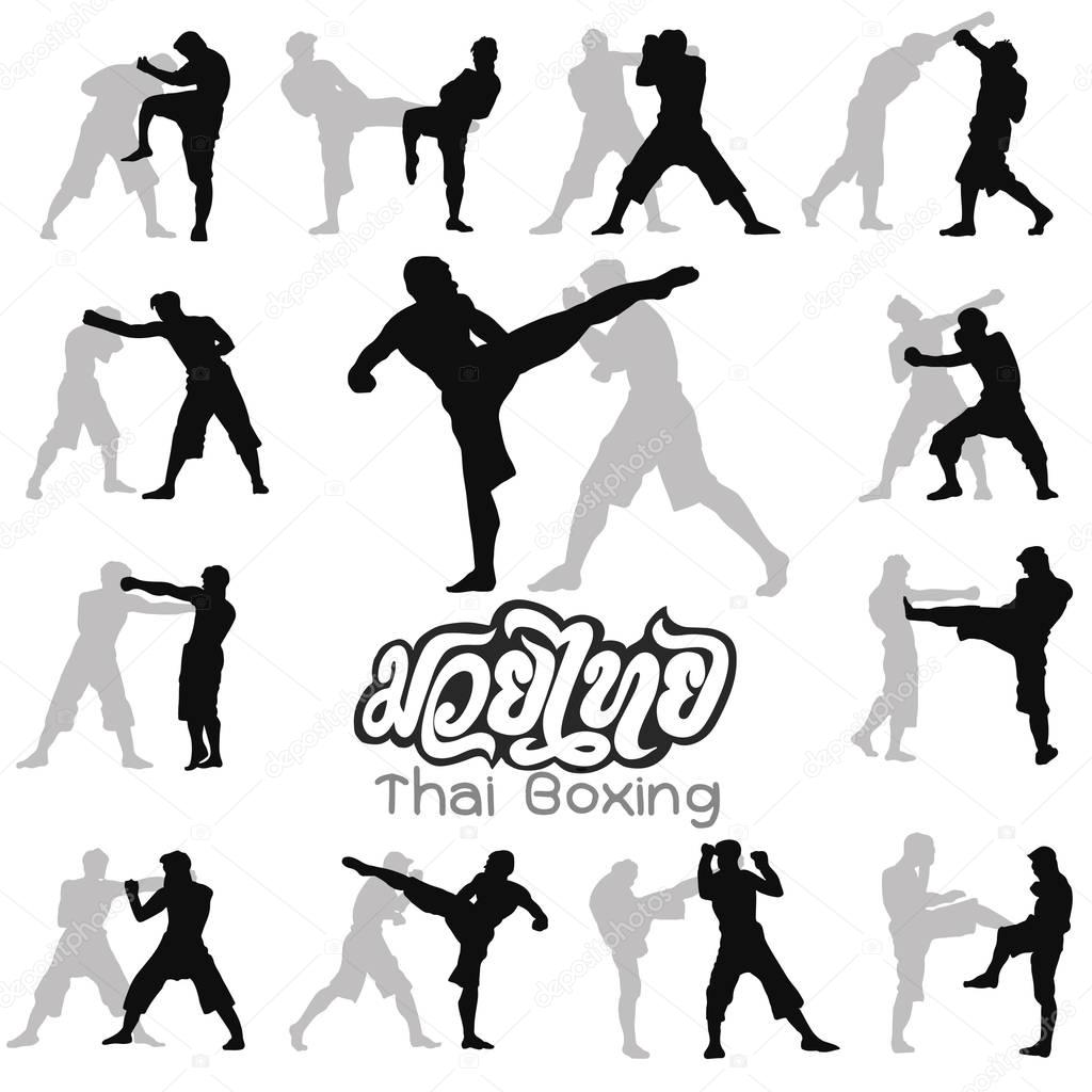 Thai boxing. Muay Thai martial art vector illustration collection. Muay Thai (Popular Thai Boxing style) text, font, graphic vector. Muay Thai beautiful vector logo for gym or other