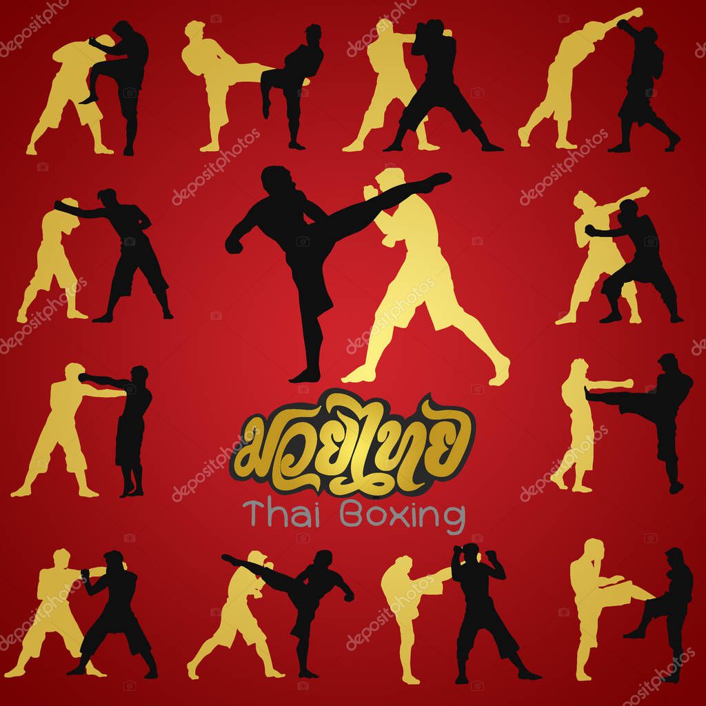 Thai boxing. Muay Thai martial art vector illustration collection. Muay Thai (Popular Thai Boxing style) text, font, graphic vector. Muay Thai beautiful vector logo for gym or other