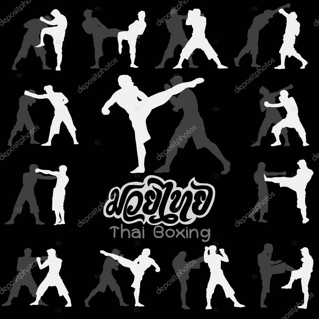Thai boxing. Muay Thai martial art vector illustration collection. Muay Thai (Popular Thai Boxing style) text, font, graphic vector. Muay Thai beautiful vector logo for gym or other