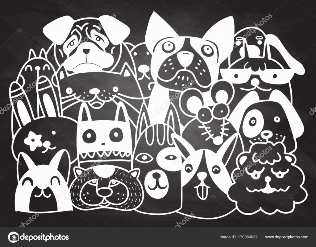 Animaux De Groupe Animalerie Animaux De Maison Isolées La