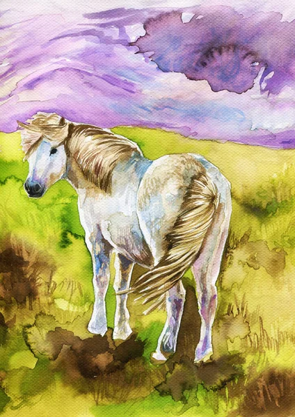Ilustración Acuarela Que Representa Pony Blanco Seno Naturaleza Paisaje Montañoso — Foto de Stock
