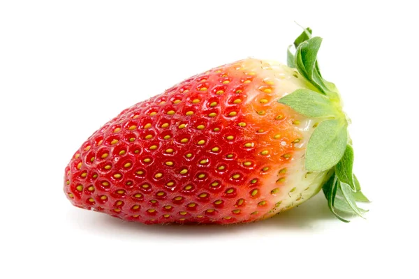 Single fresh red strawberry isolated — Stock Photo, Image