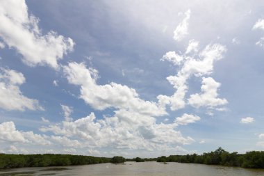 nehir ve mavi gökyüzü