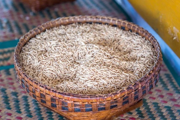 水稻︰ 糙米、 Sangyod 孟博他仑米 — 图库照片