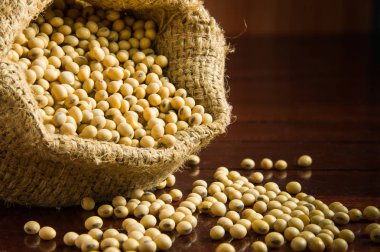 çuval torba soya fasulyesi