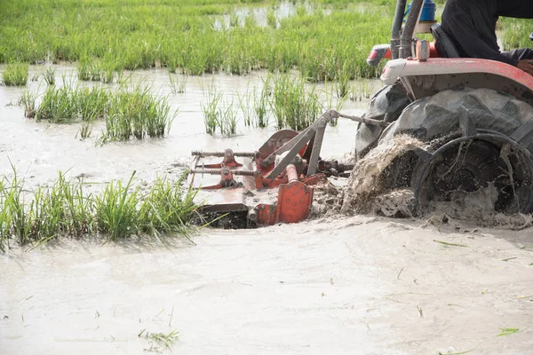 Сельскохозяйственные тракторы обрабатывают землю на рисовых полях — стоковое фото