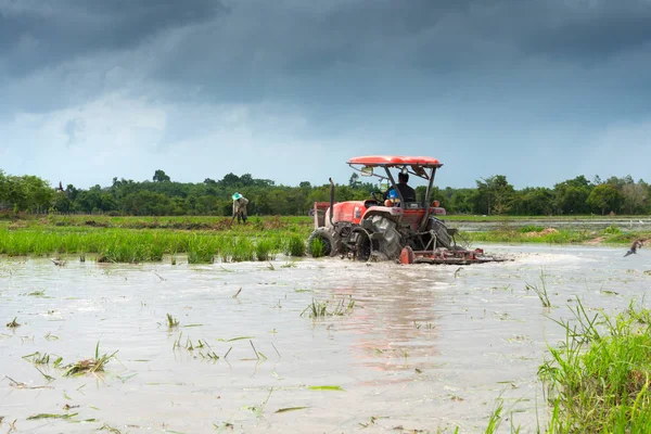 A rizsföldek földet művelt mezőgazdasági traktor — Stock Fotó