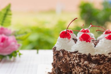 Kara Orman kek dekore edilmiş