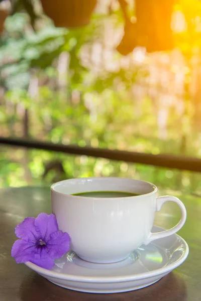 Hot green tea matcha in a cup — Stock Photo, Image