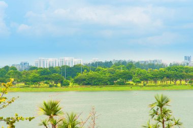 Yeşil Çimen Alanı