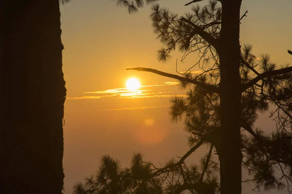Sabah güneş doğuyor.,