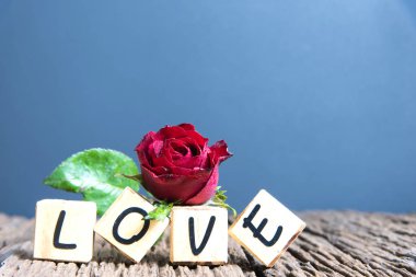  Kalp ve ahşap alfabe ile kırmızı gül