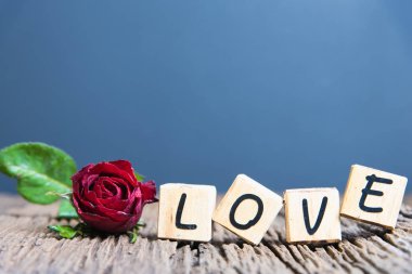  Kalp ve ahşap alfabe ile kırmızı gül