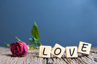  Kalp ve ahşap alfabe ile kırmızı gül