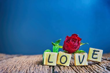  Kalp ve ahşap alfabe ile kırmızı gül