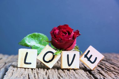  Kalp ve ahşap alfabe ile kırmızı gül