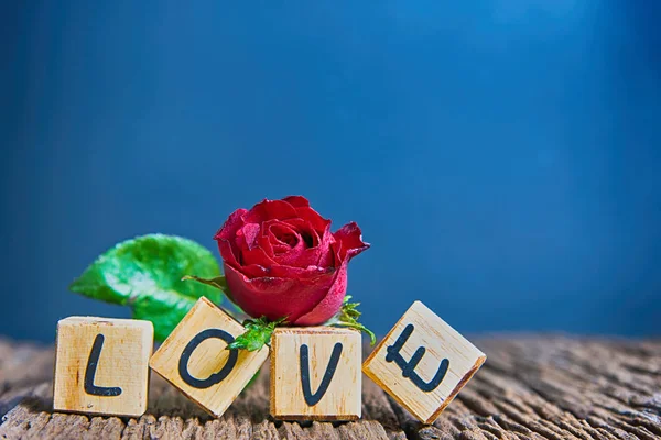 Rose rouge avec coeur et alphabet en bois — Photo