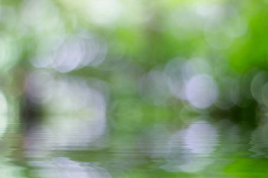 Işık ışınları ile doğal arka plan