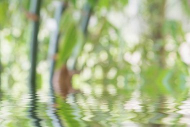 Işık ışınları ile doğal arka plan