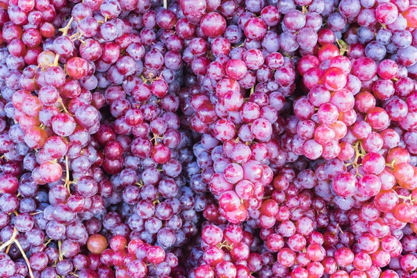新鮮な赤ワイン用ブドウや果物市場で暗いぶどう — ストック写真