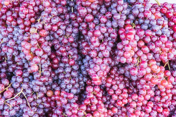 Frische Rotweintrauben oder dunkle Trauben auf dem Obstmarkt — Stockfoto