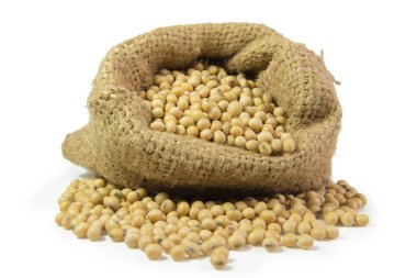 Soya fasulyesi beyaz arkaplanda izole