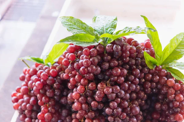 Uve rosse fresche mature, bel fondo con un ramo di uva blu — Foto Stock