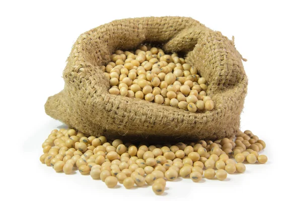 Soya fasulyesi beyaz arkaplanda izole