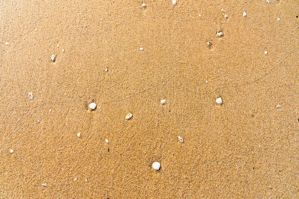 Sandstrandbakgrunn – stockfoto