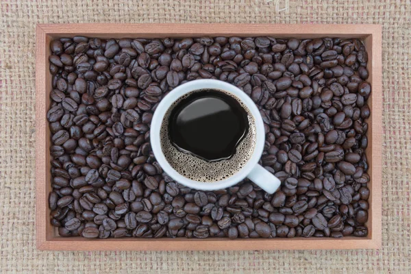 Tasse à café et grains de café en boîte — Photo