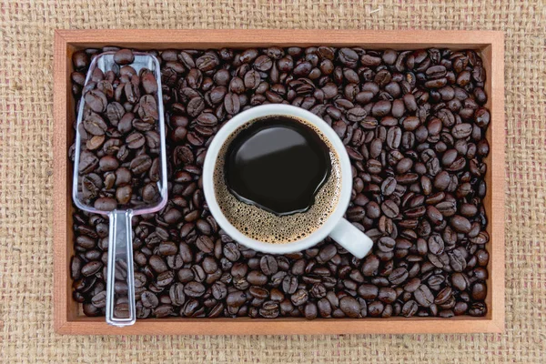 Tasse à café et grains de café en boîte — Photo