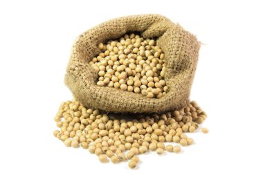 Soya fasulyesi beyaz arkaplanda izole