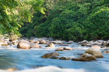 şeffaf su ve taş ile dağ dere akan 