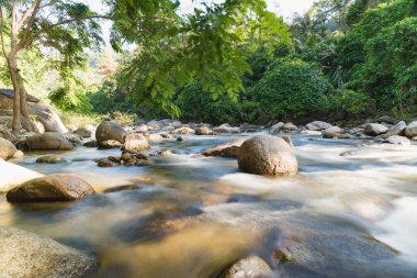 şeffaf su ve taş ile dağ dere akan 