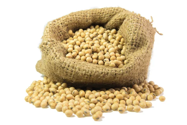 Soya fasulyesi beyaz arkaplanda izole