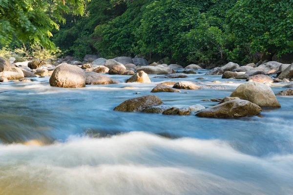 şeffaf su ve taş ile dağ dere akan 