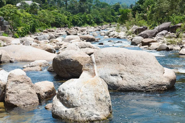 şeffaf su ve taş ile dağ dere akan 