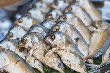 Kızarmış shortbodied uskumru balığı