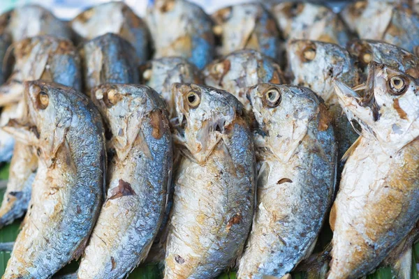 Fried shortbodied mackerel fish