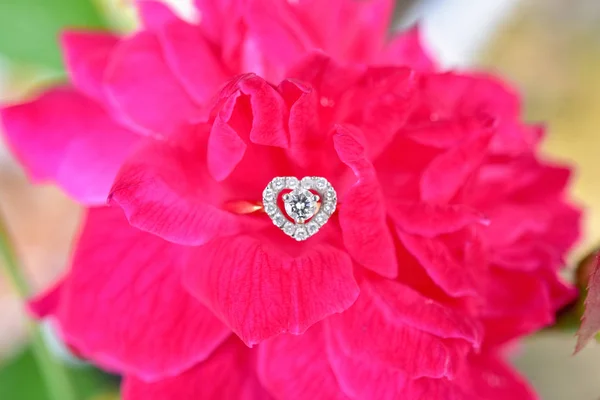 Διαμαντένιο δαχτυλίδι με ροζ τριαντάφυλλο — Φωτογραφία Αρχείου