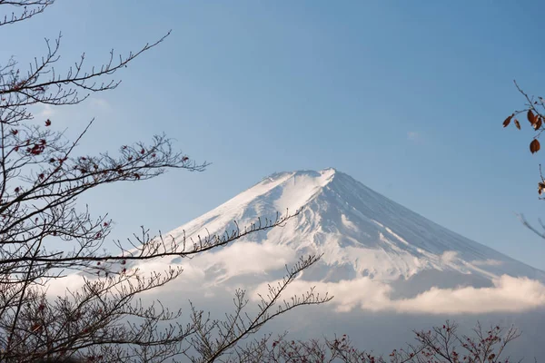 Fujisan (Fuji mountain) — стокове фото