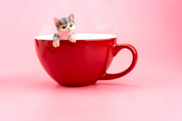 A cat model in a red coffee mug