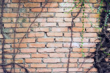 Tuğla duvar arkaplanı