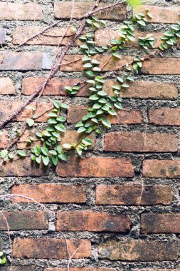 Tuğla duvar arkaplanı