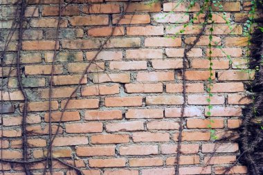 Tuğla duvar arkaplanı